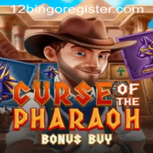 Exploring the Exciting World of CurseofthePharaohBonusBuy in 12Bingo