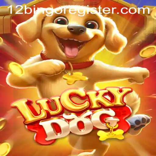 Discovering the Thrills of LuckyDog: The Ultimate 12Bingo Experience